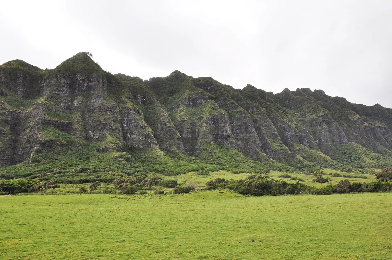 切り立った緑の山の前に広がるクアロア・ランチの草原